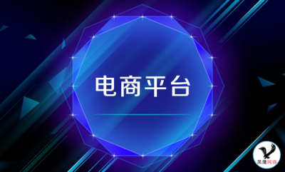 电商平台的案例与思考