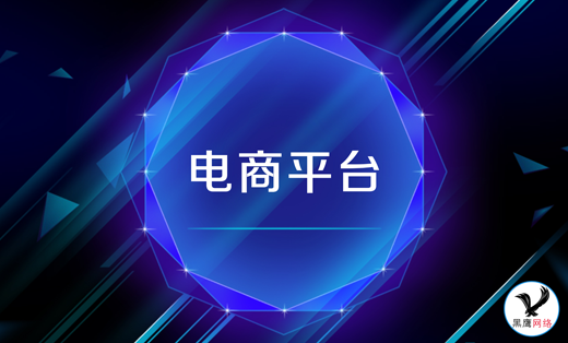电商平台的案例与思考