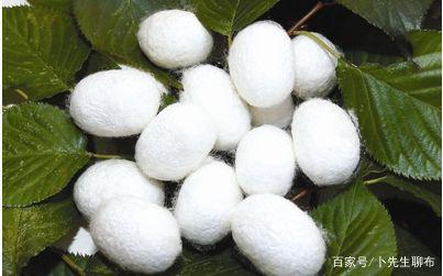 纺织纤维的种类和它们的用途